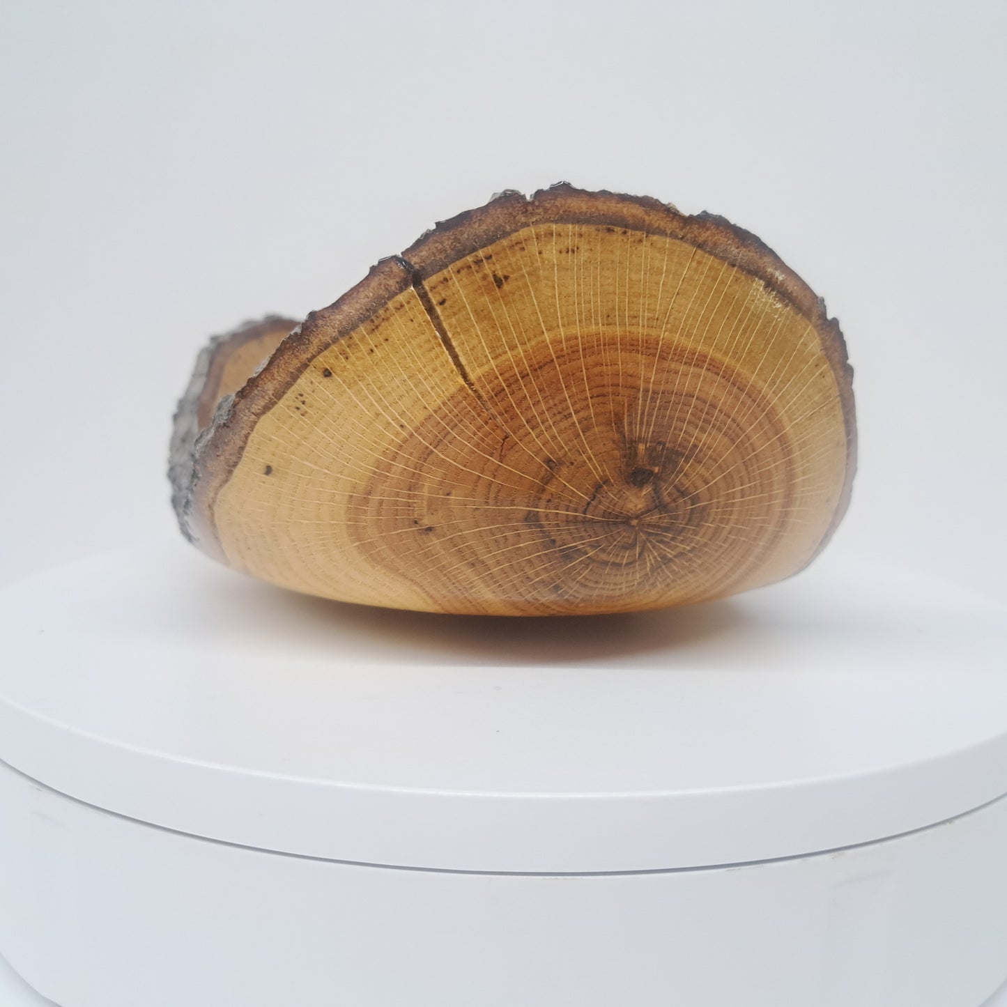 #298 Live Edge Oak Bowl
