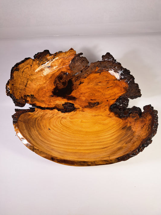 #181 Live Eged Cherry Burl Bowl