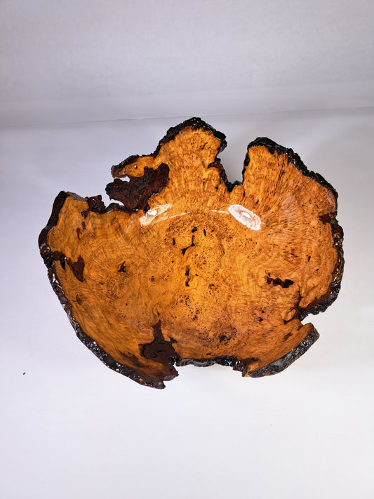 #182 Live Eged Cherry Burl Bowl