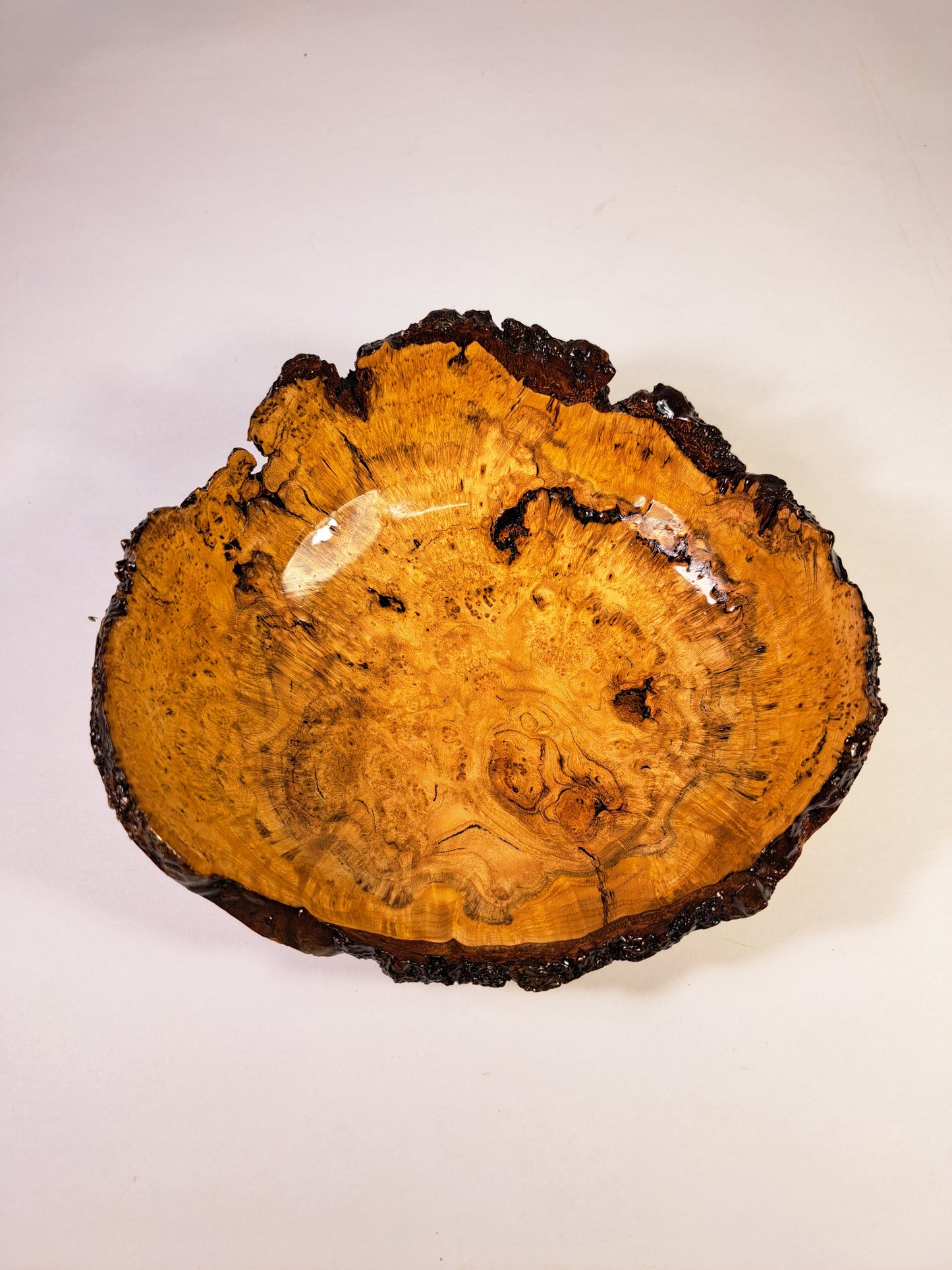 #184 Live Eged Cherry Burl Bowl