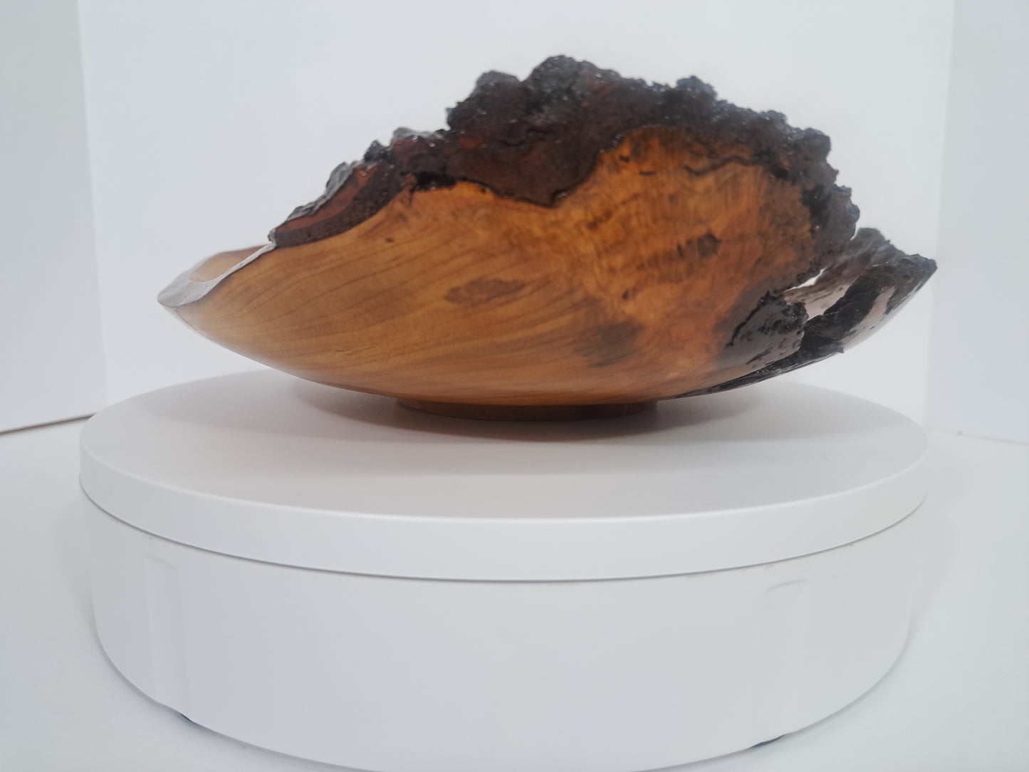 #181 Live Eged Cherry Burl Bowl