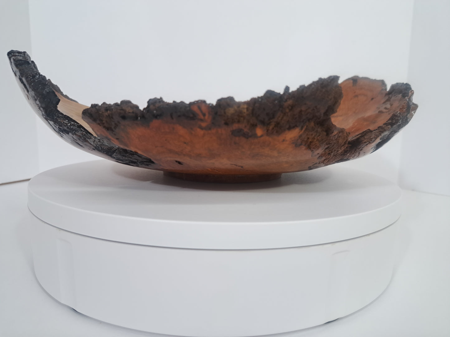 #181 Live Eged Cherry Burl Bowl