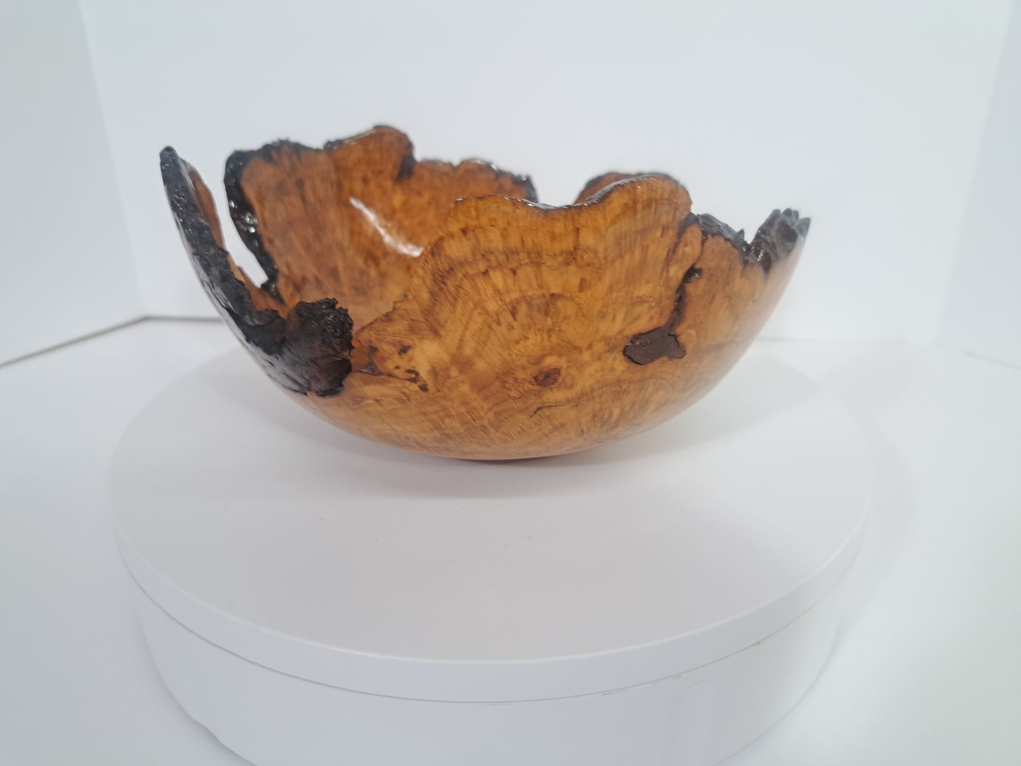 #182 Live Eged Cherry Burl Bowl