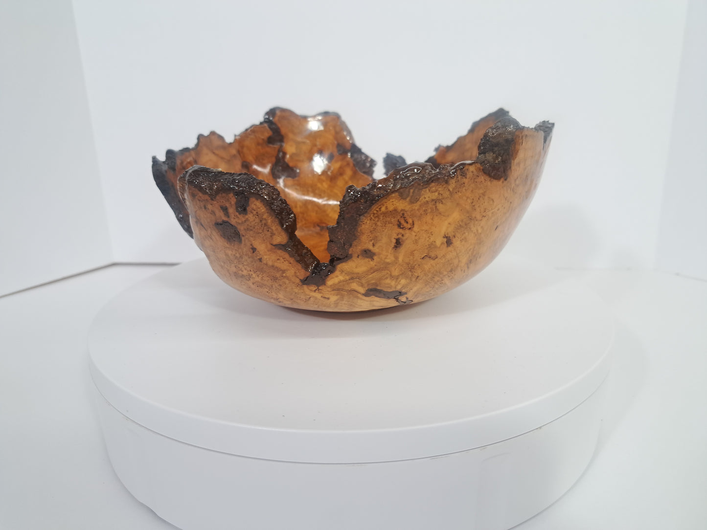 #182 Live Eged Cherry Burl Bowl