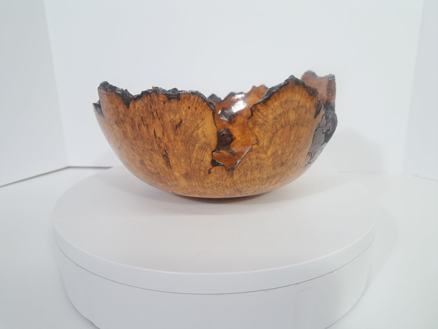 #182 Live Eged Cherry Burl Bowl