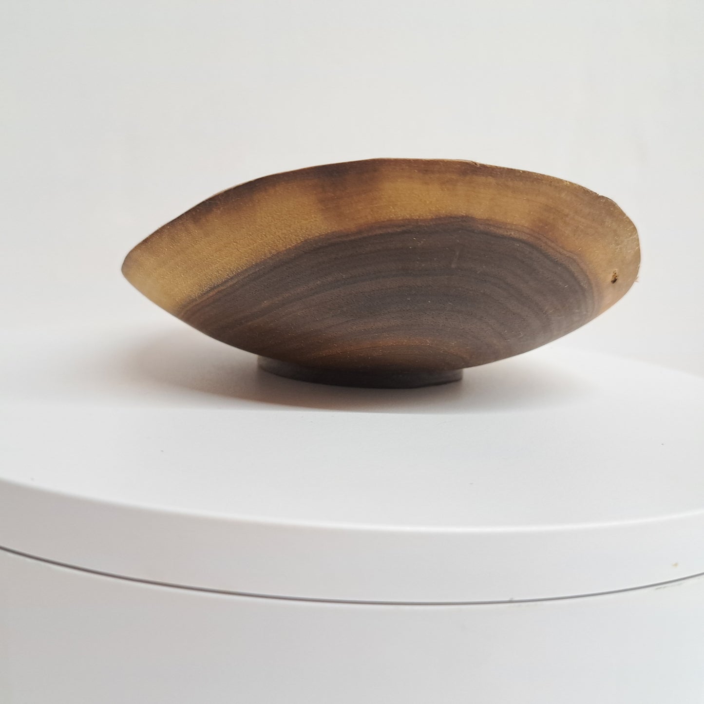 #288 Walnut Natural Edge Bowl