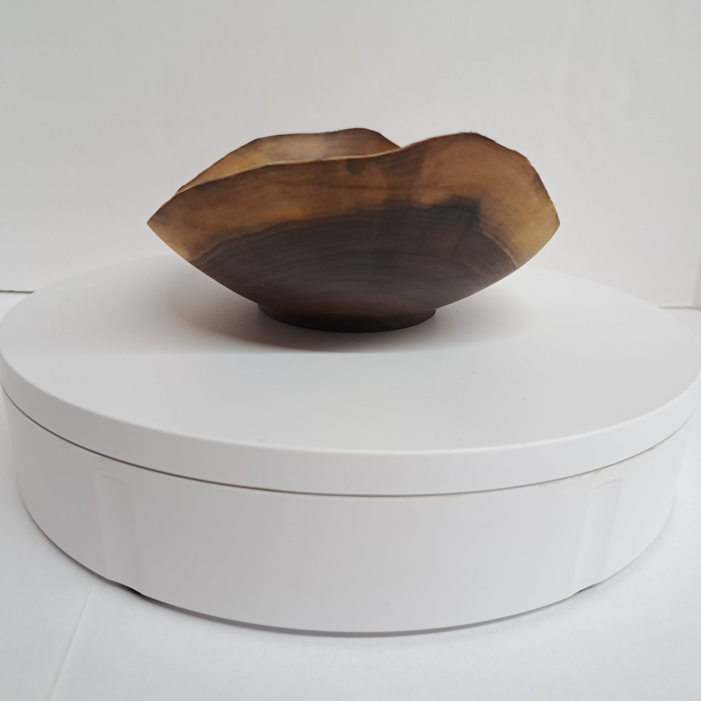 #290 Walnut Natural Edge Bowl